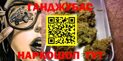 амф Кингисепп