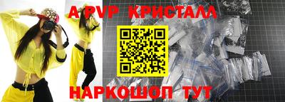 амф Кингисепп
