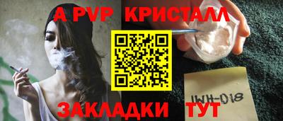 амф Кингисепп