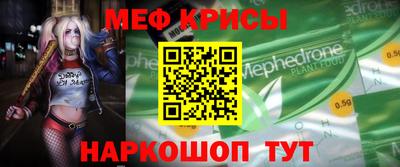 амф Кингисепп