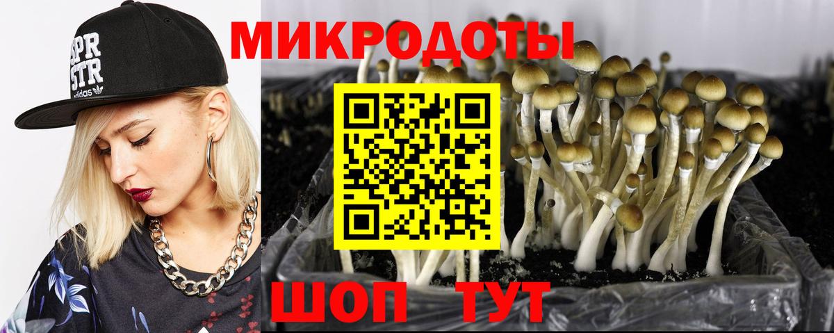 Кострома  Псилоцибиновые грибы ЛСД  купить наркотики сайты  Вход с VPN 